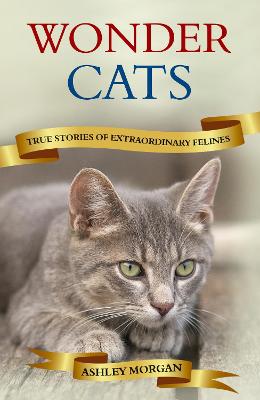 Wonder Cats: True Tales of Extraordinary Felines - Morgan, Ashley