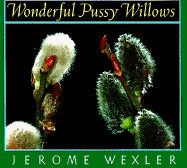 Wonderful Pussy Willows