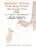 Wonderful Stories From Skog Forest: Near the Little Yellow House Volume 1 'Li'l Bunny's Big Adventure'