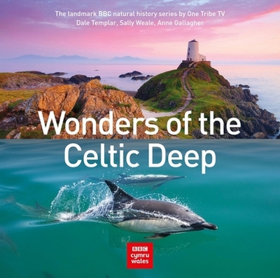 Wonders of the Celtic Deep - Templar, Dale, and Weale, Sally, and Gallagher, Anne