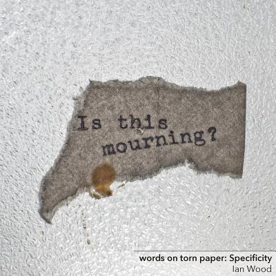 words on torn paper: Specificity - Wood, Ian