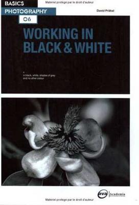 Working in Black & White - Prkel, David