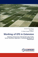 Working of Efs in Extension