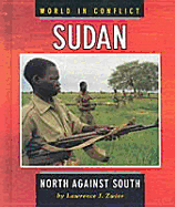 World In Conflict: Sudan