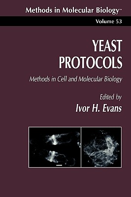 Yeast Protocols: Methods in Cell and Molecular Biology - Evans, Ivor H (Editor)