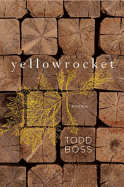 Yellowrocket