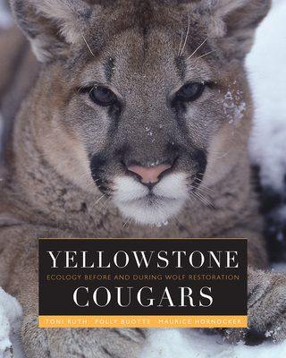 Yellowstone Cougars: Ecology Before and During Wolf Restoration - Ruth, Toni K, and Buotte, Polly C, and Hornocker, Maurice G