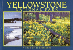 Yellowstone National Park: Postcard Book