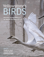 Yellowstone's Birds: Diversity and Abundance in the World's First National Park