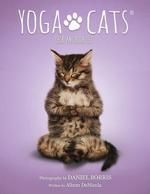 Yoga Cats Deck & Book Set - Denicola, Alison, and Borris, Daniel (Photographer)