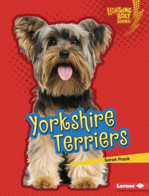 Yorkshire Terriers - Frank, Sarah