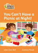 You Can't Have a Picnic at Night!: Level 4
