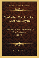 You! What You Are, And What You May Be: Sketched From The History Of The Gadarene (1872)