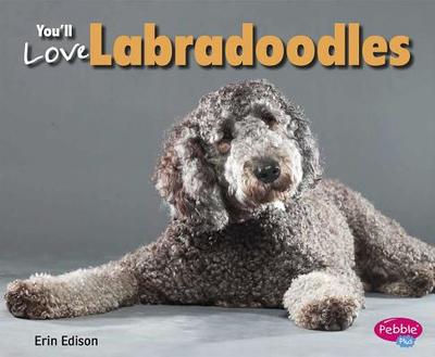 You'll Love Labradoodles - Saunders-Smith, Gail (Consultant editor), and Edison, Erin