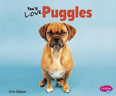 You'll Love Puggles - Saunders-Smith, Gail (Consultant editor), and Edison, Erin