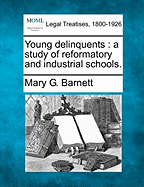 Young Delinquents; A Study of Reformatory and Industrial Schools