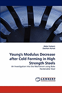 Young's Modulus Decrease After Cold Forming in High Strength Steels