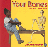 Your Bones - Degezelle, Terri