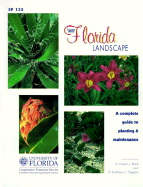 Your Florida Landscape: A Complete Guide to Planting and Maintenance