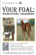 Your Foal: Essential Training