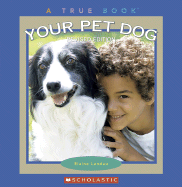 Your Pet Dog