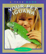 Your Pet Iguana