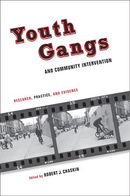 Youth Gangs and Community Intervention: Research, Practice, and Evidence - Chaskin, Robert J
