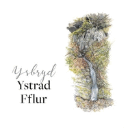 Ysbryd Ystrad Fflur: The Spirit of Strata Florida