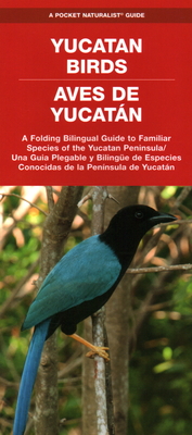 Yucatan Birds/Aves de Yucatan: A Folding Pocket Guide to Familiar Species/Una Guia Plegable Portatil de Especies Conocidas - Waterford Press, and Leung, Raymond (Illustrator)