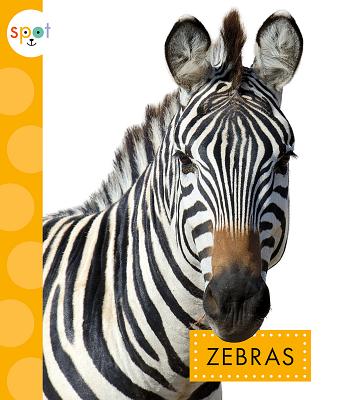 Zebras - Klukow, Mary Ellen