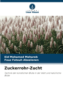 Zuckerrohr-Zucht