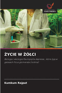 Zycie W Zlci